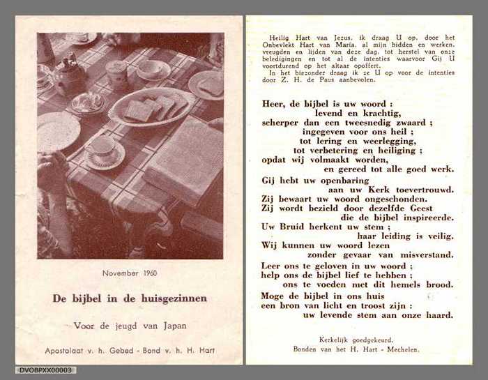 DE BIJBEL IN DE HUISGEZINNEN