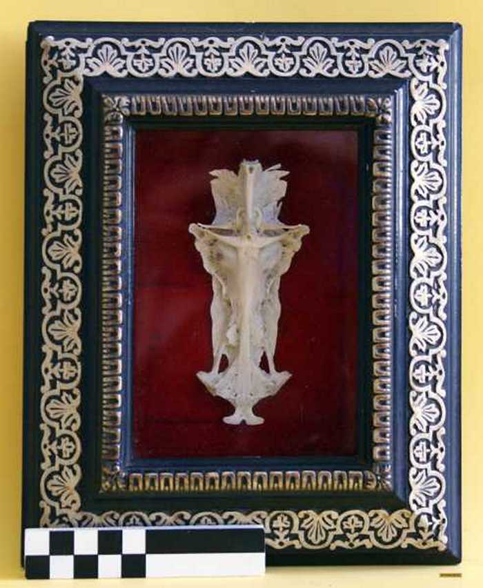 Christus aan kruis in been.