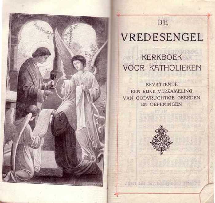 Boek: De Vredesengel