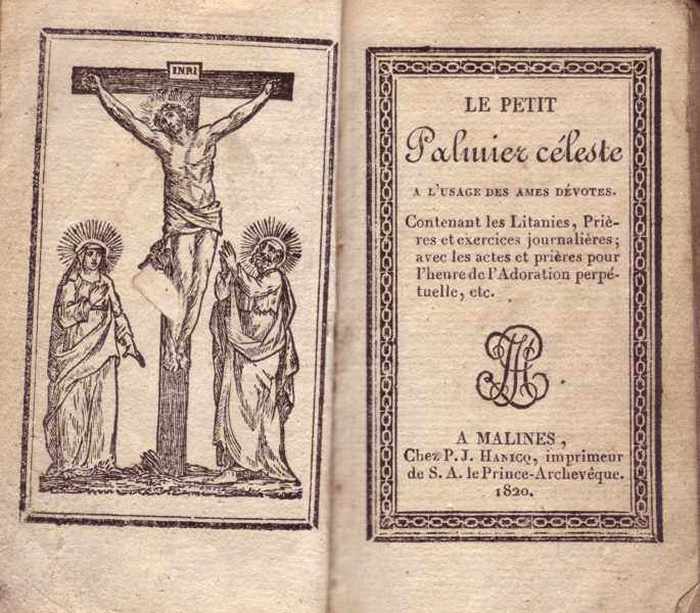 Boek: Le petit Palmier céleste