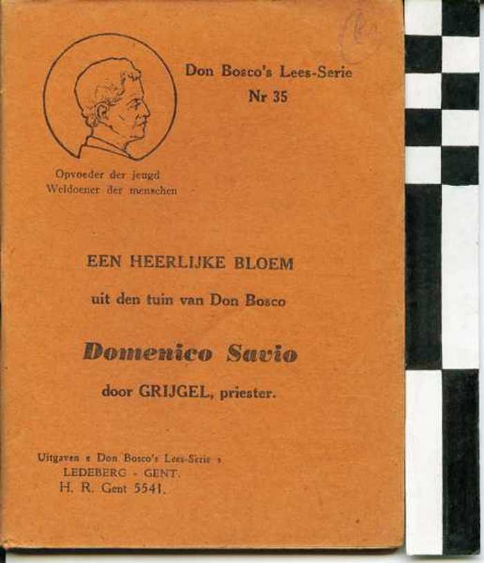Boekje: Een heerlijke bloem uit de tuin van Don Bosco Domenico Savio