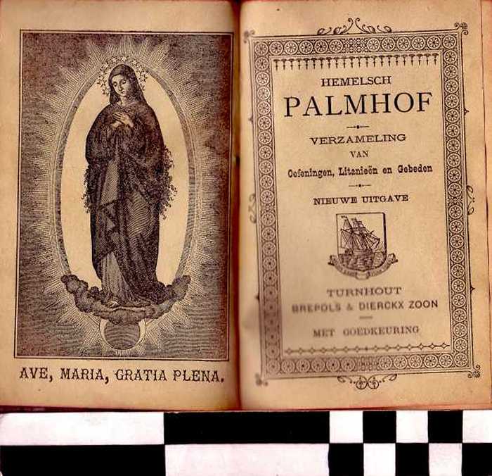 Boek Hemelsch Palmhof