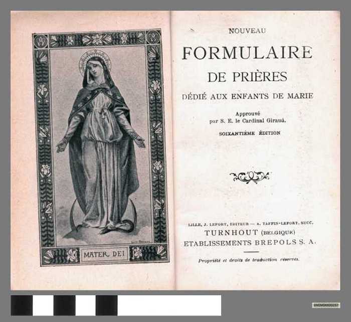 Boek: Nouveau Formulaire de Pirères