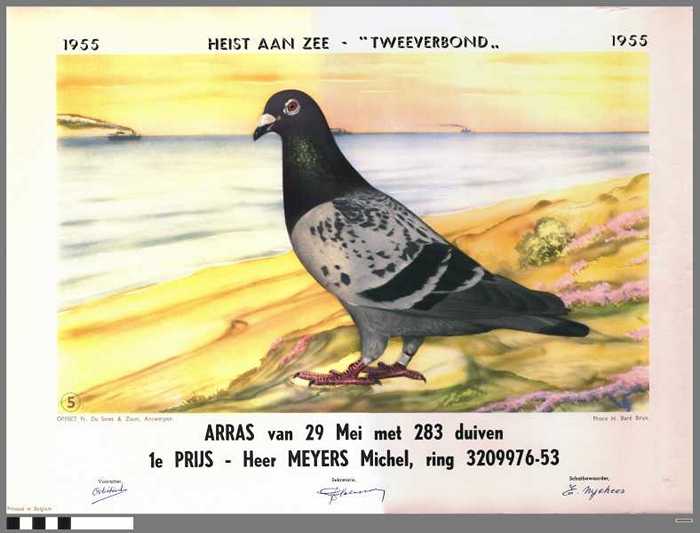 Diploma 1955 1e prijs Arras - Meyers Michel