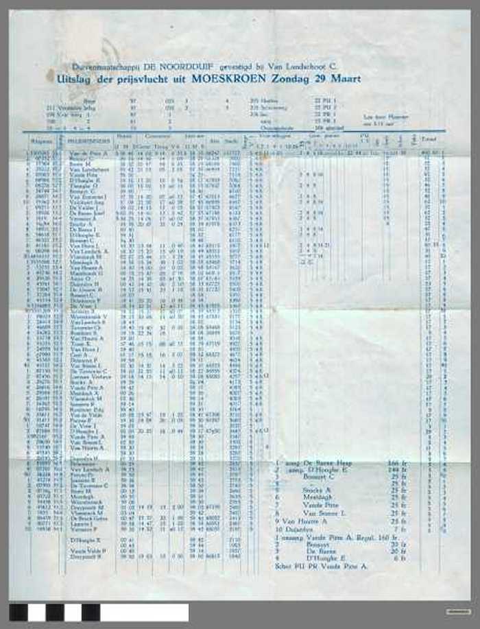 De Noordduif - Uitslag der prijsvlucht uit Moeskroen Zondag 29 Maart.