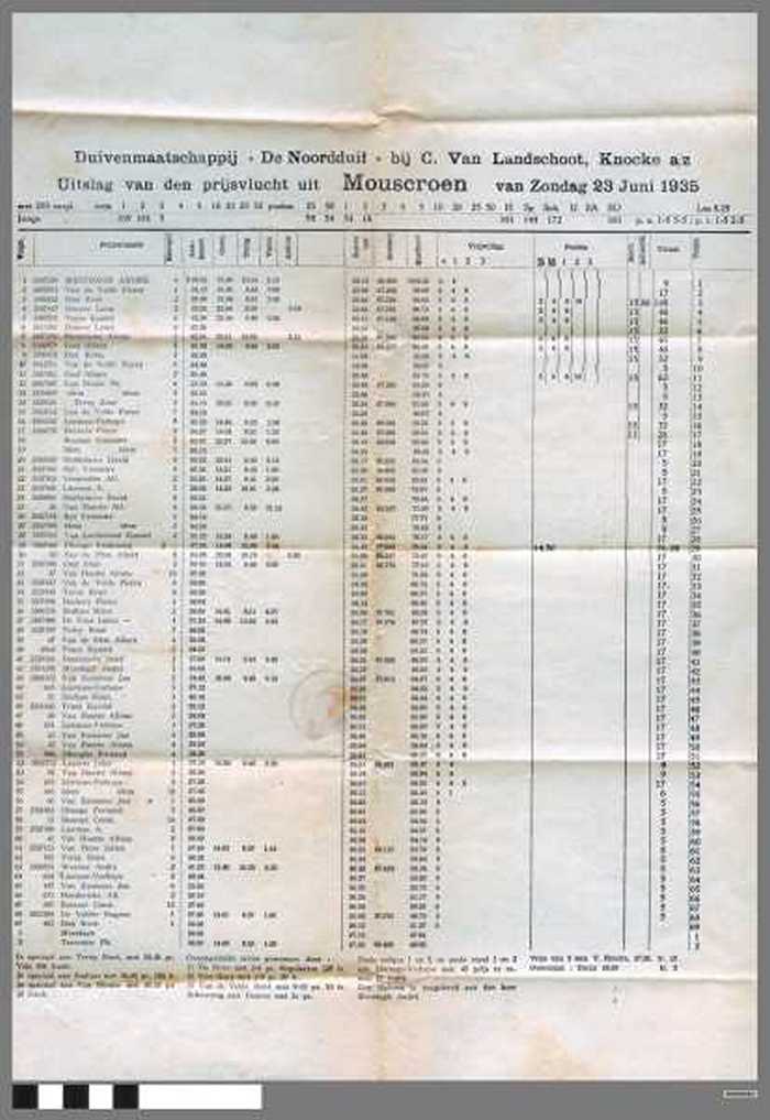 Duivenmaatschappij `De Noordduif bij C. Van Landschoot, Knocke a/z.