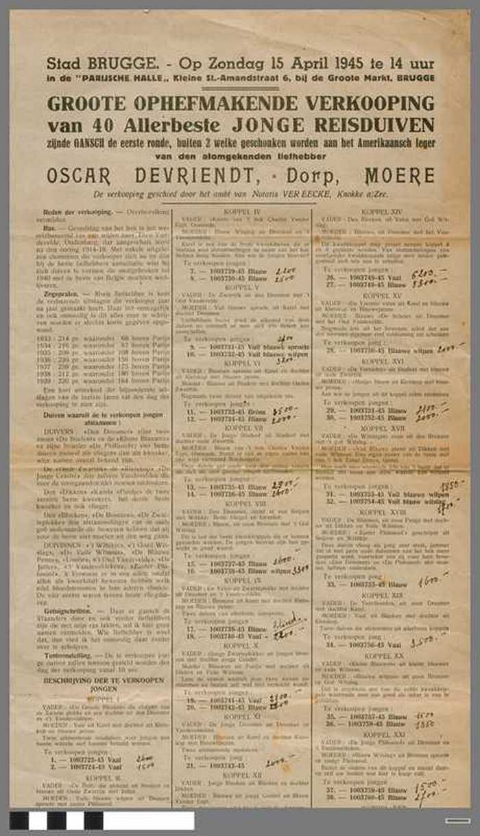 Verkoop reisduiven - 1945