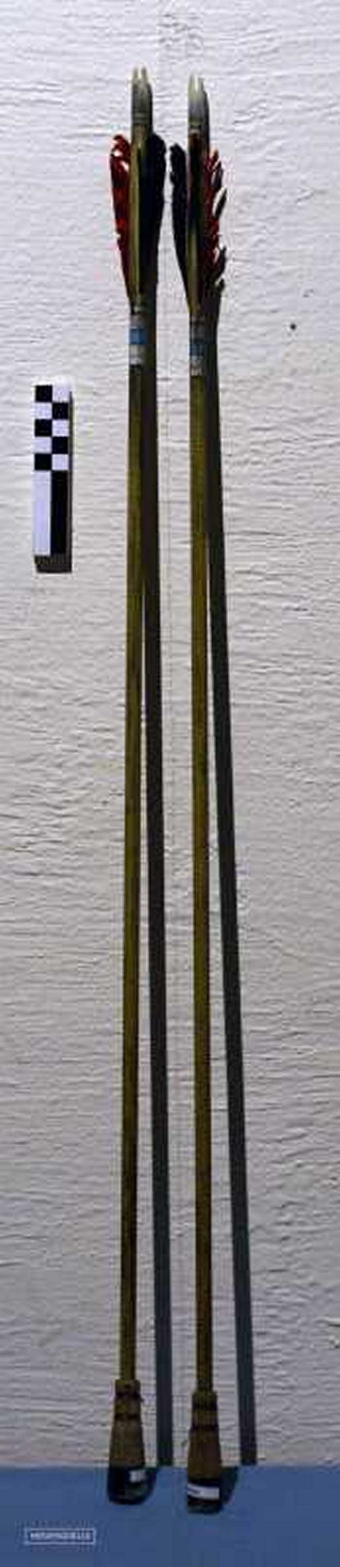 Schutterspijlen (2 stuks)