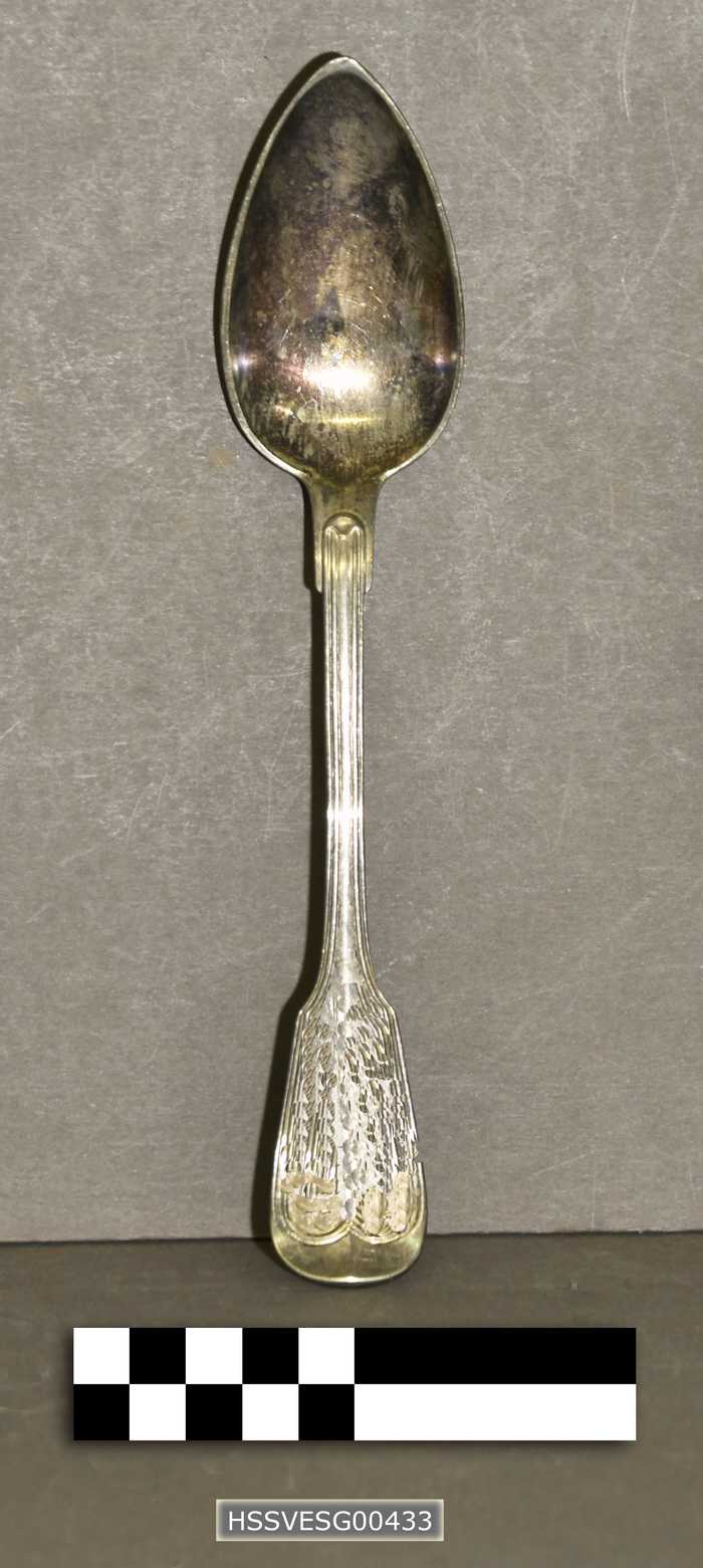 Eetlepel - Duinengalm - Heyst a/Zee