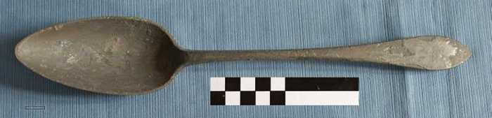 Grote lepel (scheplepel)