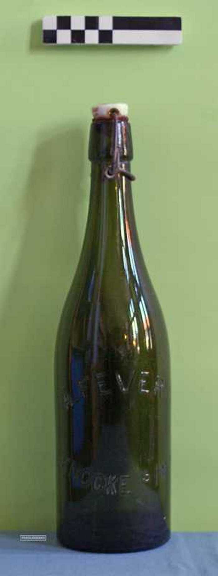 Lege bierfles van Fevery