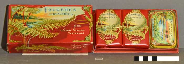 Geschenkdoos met zeep 'Fougères embaumées'