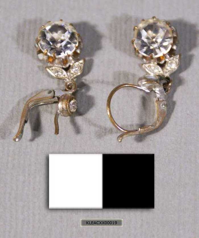 Set oorbellen met steen en haakje