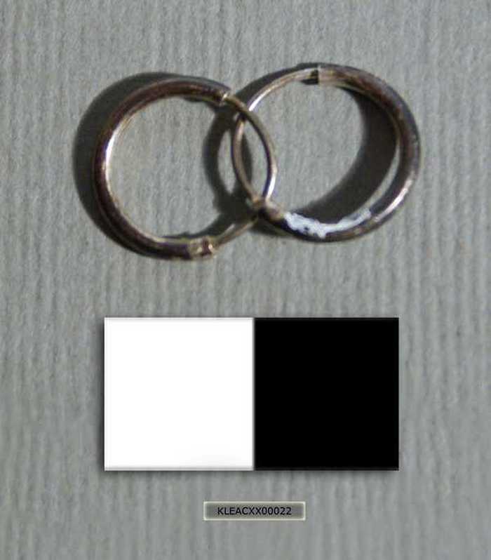 Set cirkelvormige oorbellen