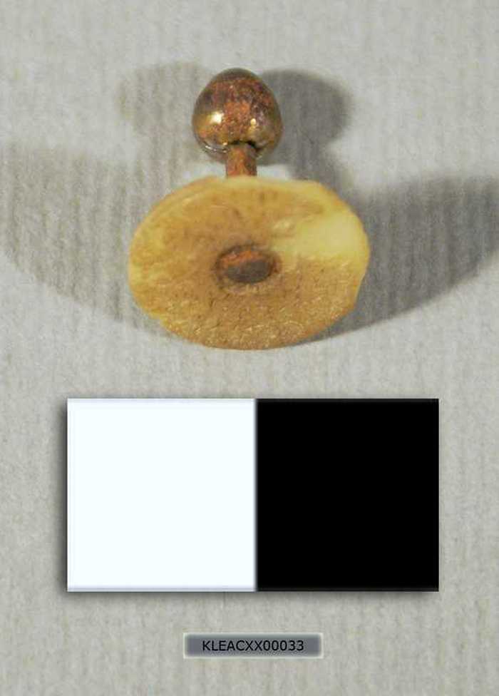 Geelbruine manchetknoop