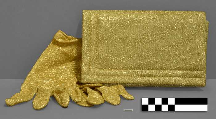 Avondhandtas met bijpassende handschoenen