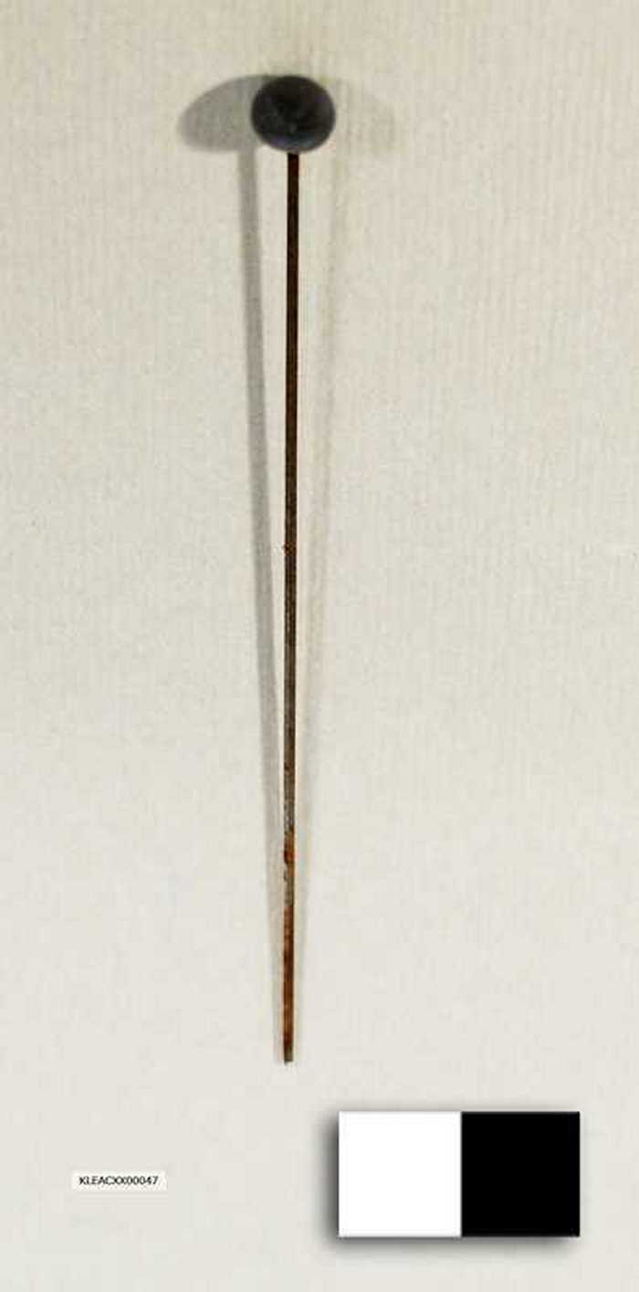 Hoedenspeld met zwarte sierknop