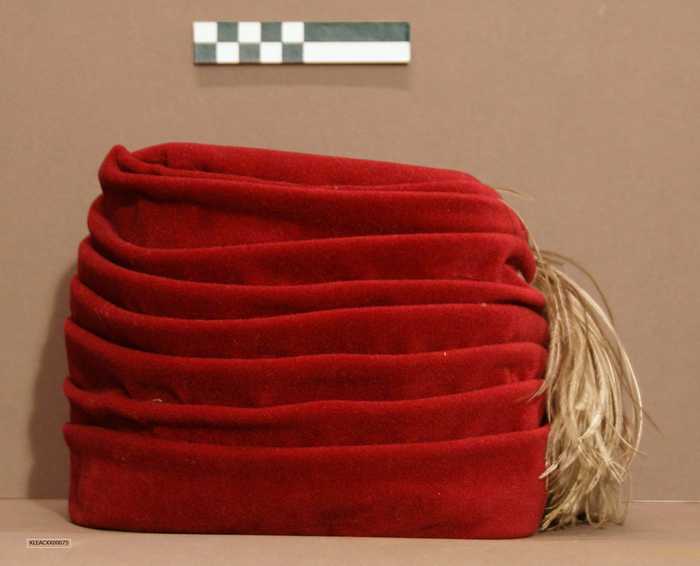 Rode dameshoed met pluimen