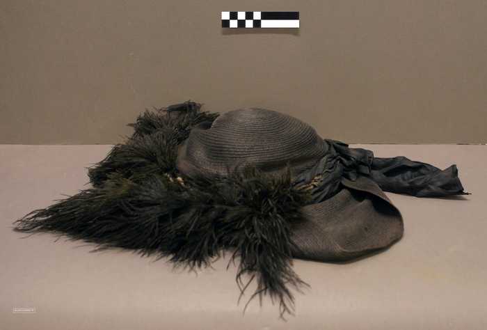 Zwarte dameshoed met pluimen