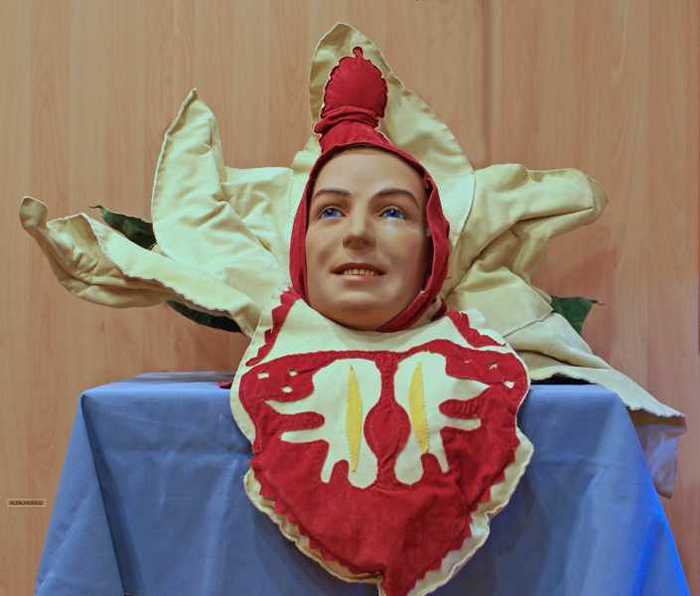 Carnaval bloemenmuts klaproos