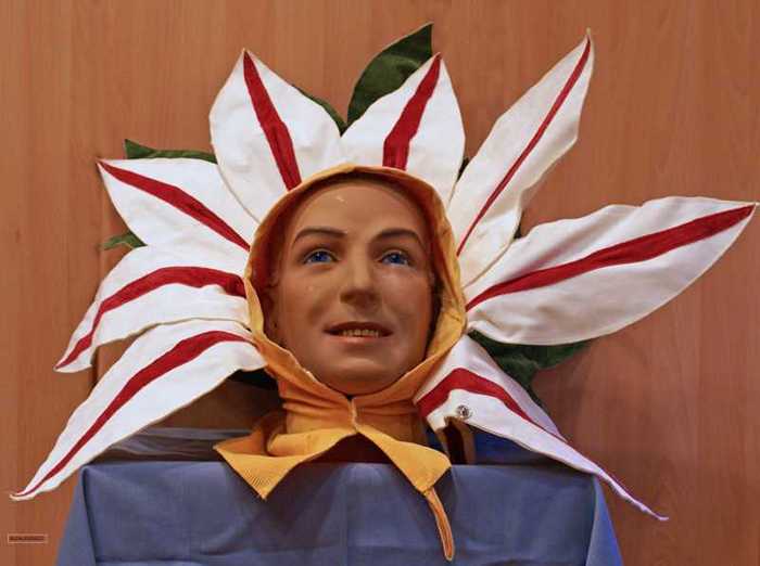 Carnaval bloemenmuts madelief