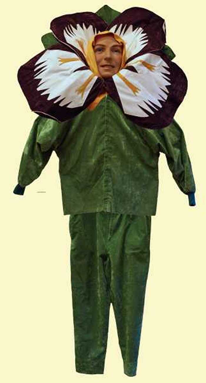 Carnavalkostuum Viooltje