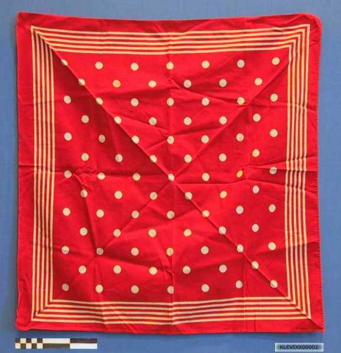 Zak- / halsdoek (rood met witte bollen)