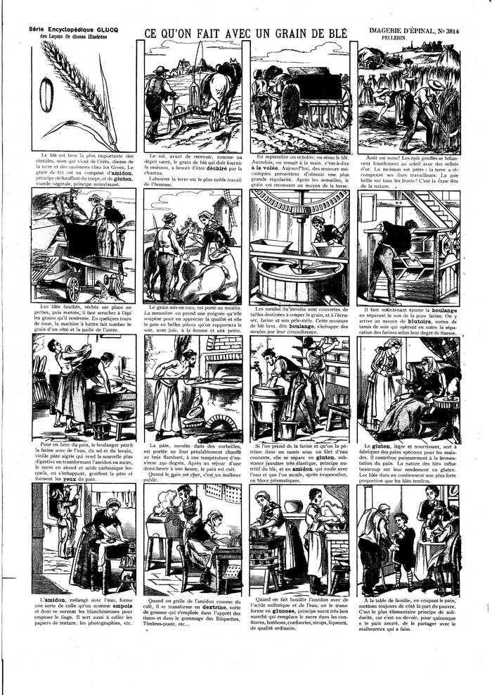 Ce qu?on fait avec un grain de blé