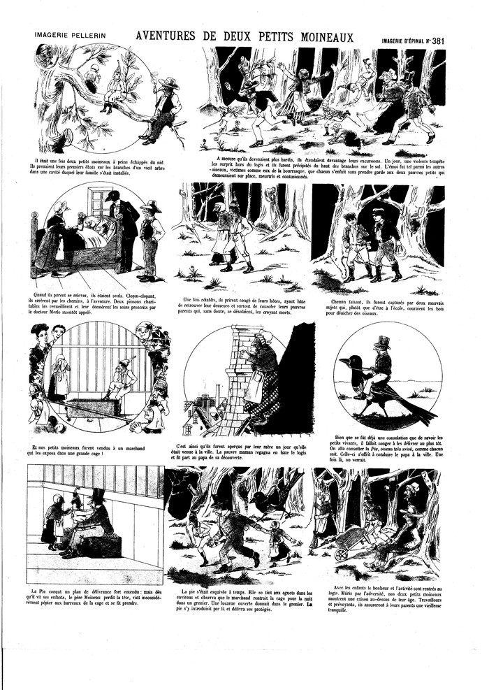 Aventures de deux petits moineaux