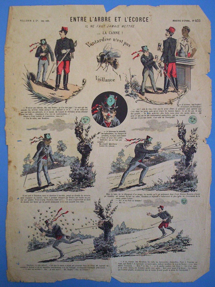 Entre l?arbre et l?écorce