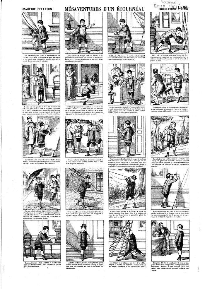 Mésaventures d'un étourneau