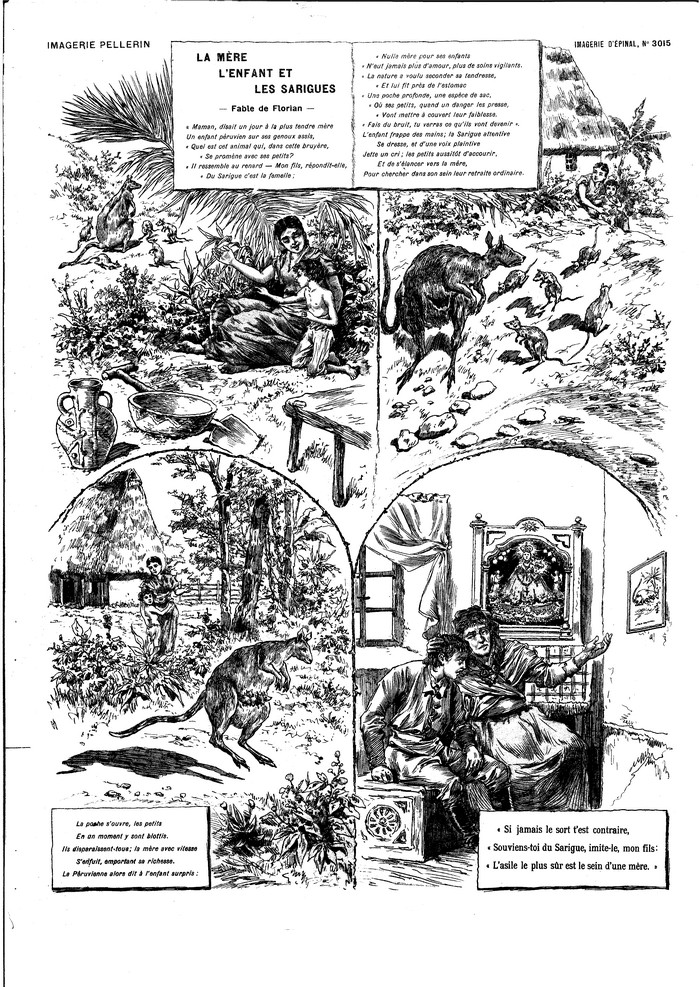 La mère, l'enfant et les sarigues