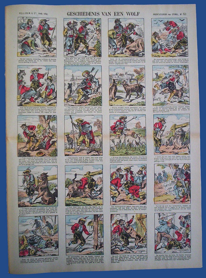 De geschiedenis van een wolf