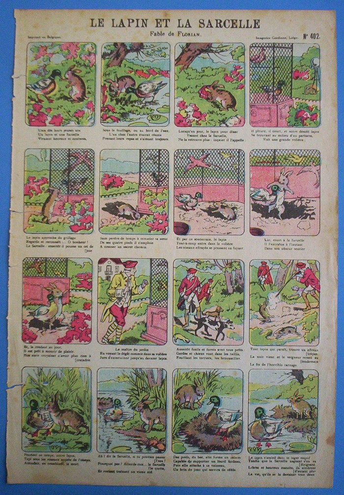 Le lapin et la sarcelle