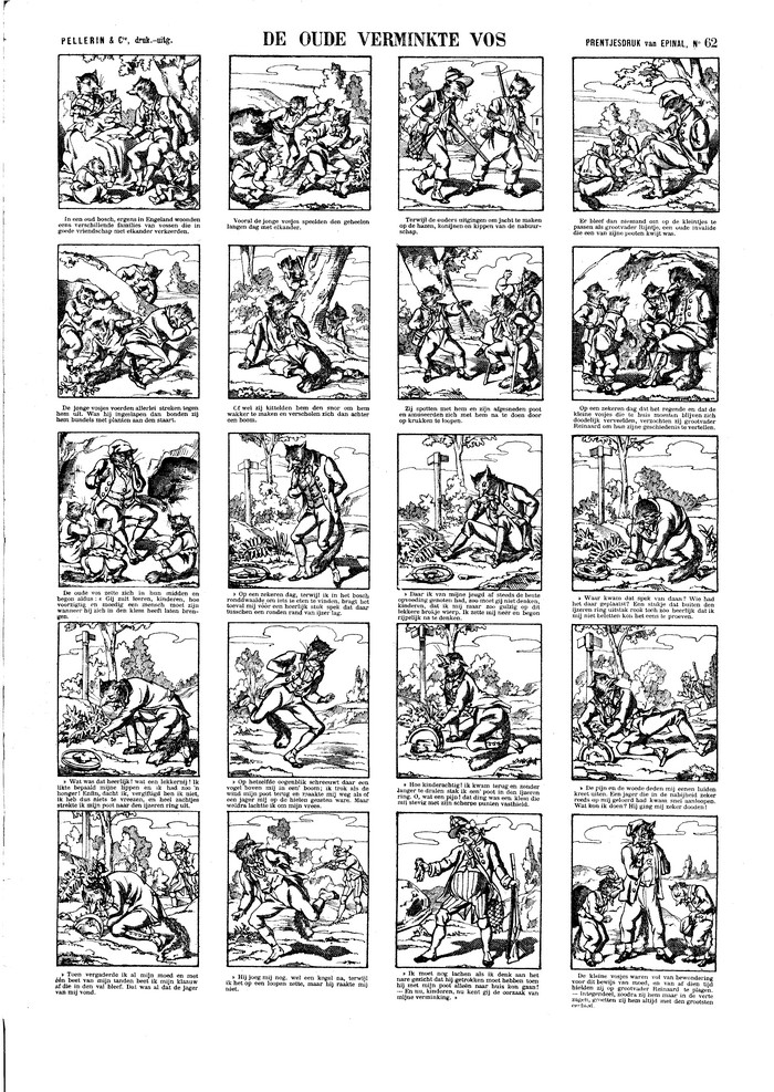 De oude verminkte vos