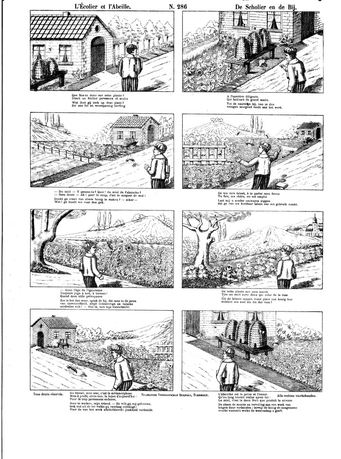 L?écolier et L?Abeille De scholier en de bij