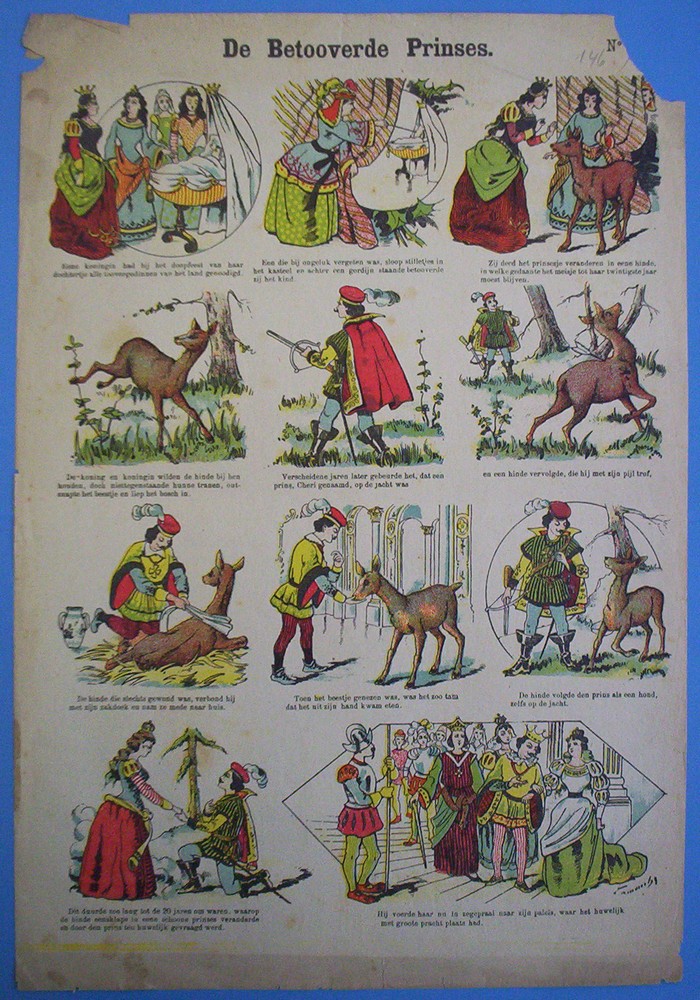De betooverde prinses