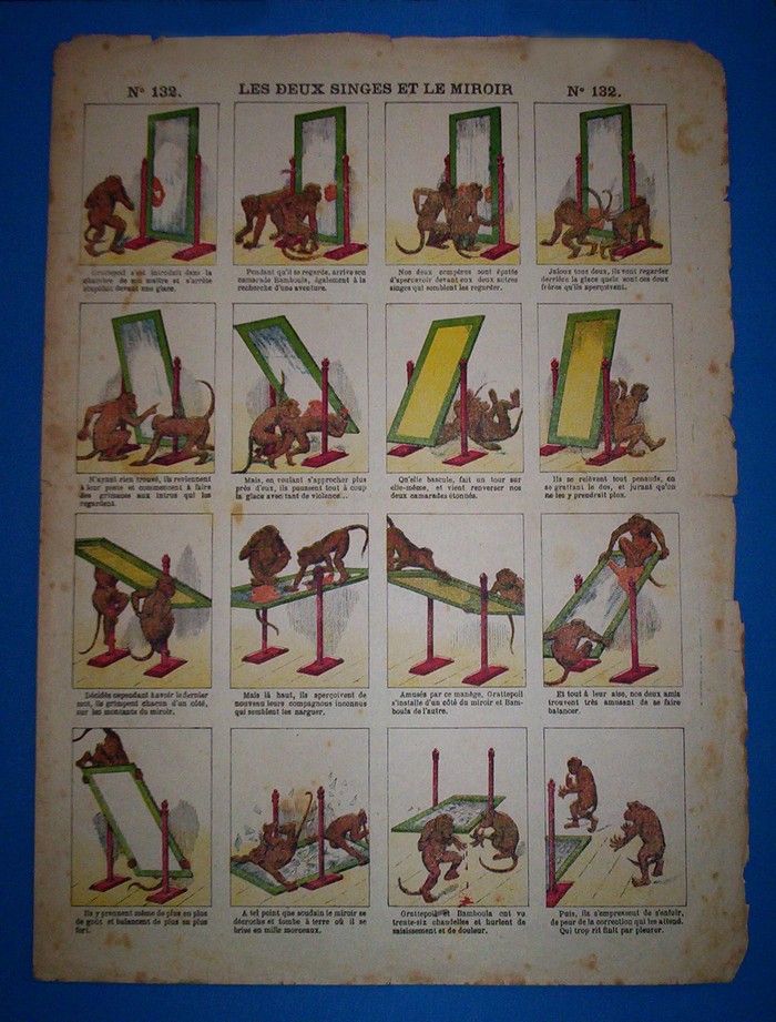 Les deux singes et le miroir