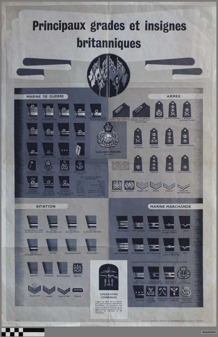 Principaux grades et insignes britanniques.