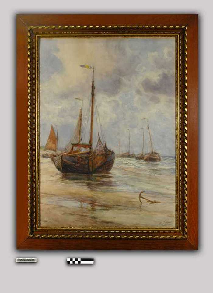 Scutes in de branding