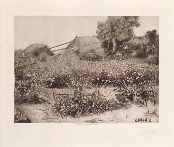 Aus Belgien, Studien-Blätter von K. Mediz - De Keuvelhoek