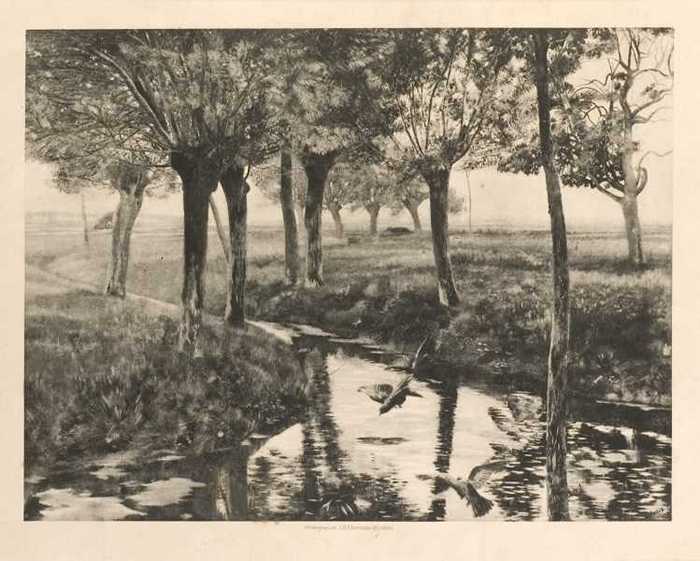 Aus Belgien, Studien-Blätter von K. Mediz - Gracht met knotwilgen