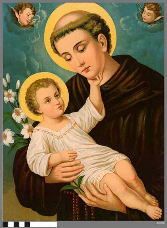 Heilige Antonius (van Padua)