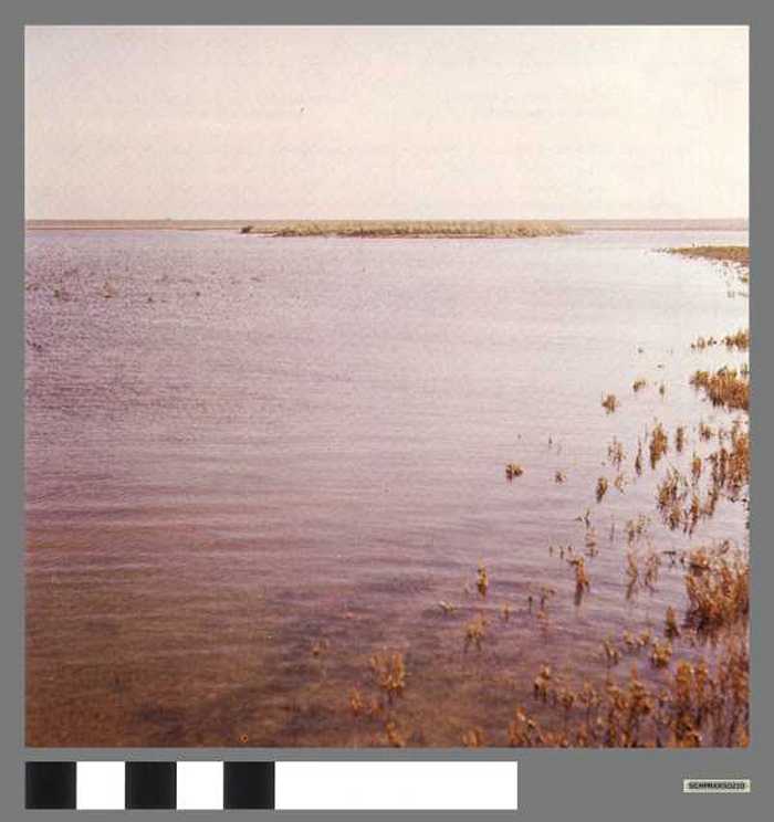 Zwinvlakte onder water - Zwin inondé