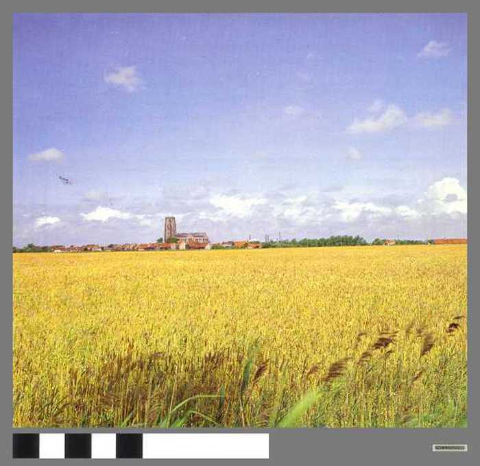 Toren van Lissewege - Tour de Lissewege