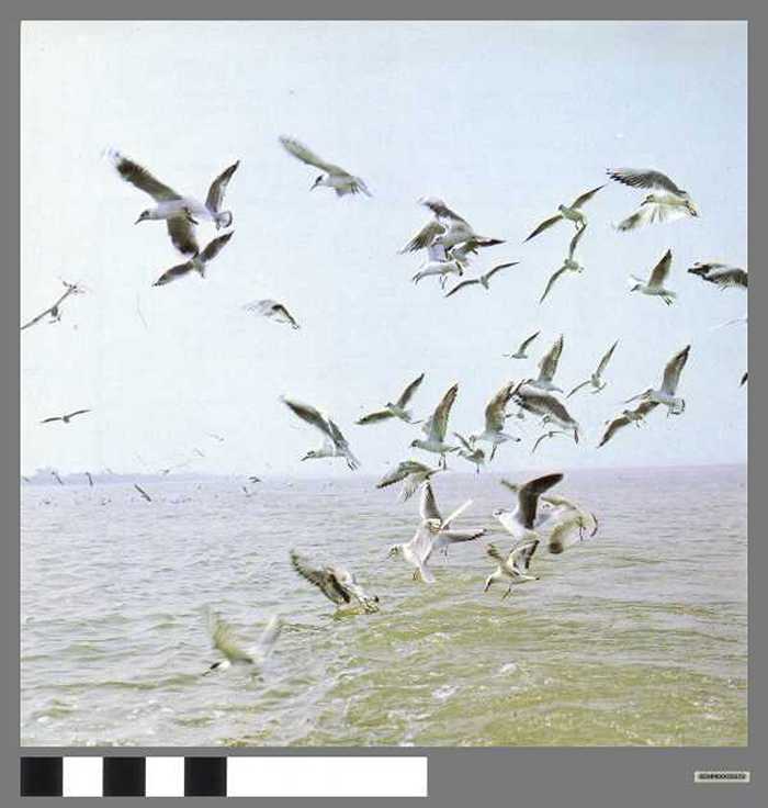 Zee en poëzie - Mer et poésie