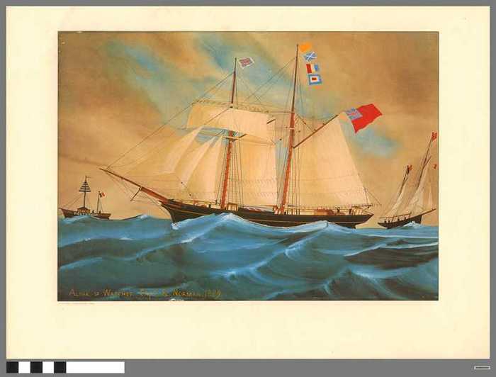 Alpha of Watchet - Captain R. Norman - 1889