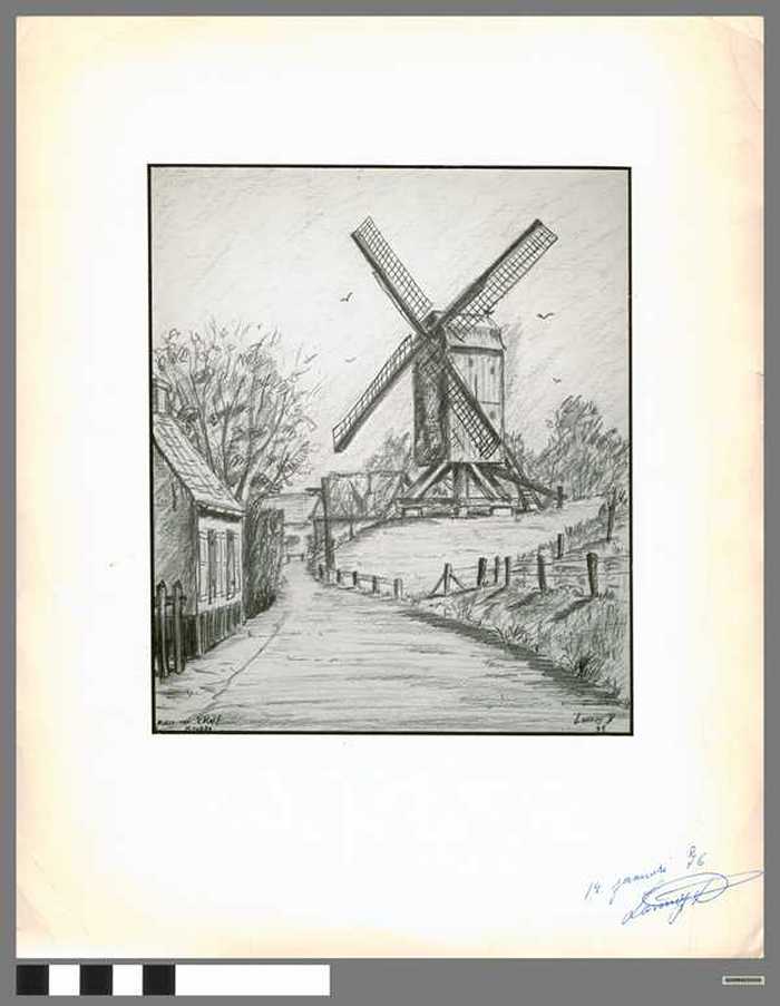 Molen 't kalf - Knokke