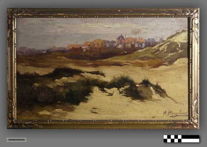 Strand en duinen in Zeeland