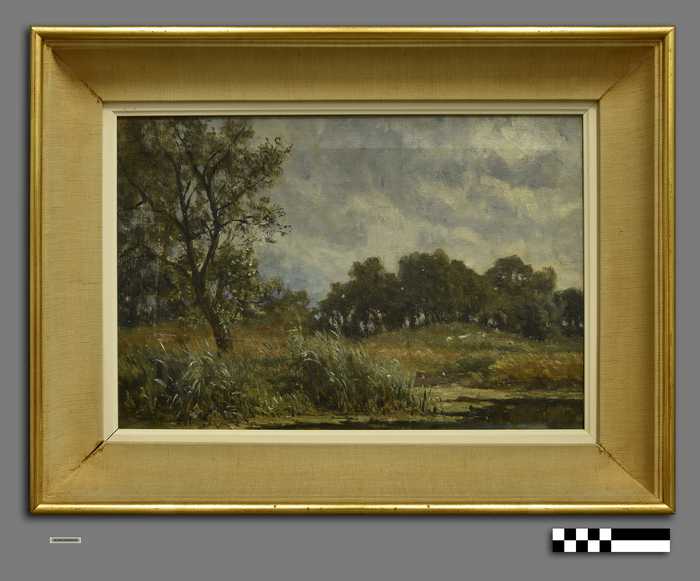 Landschap met waterpartij